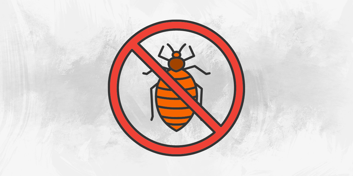 Tips To Find Out The Best Bed-Bugs Extermination Company